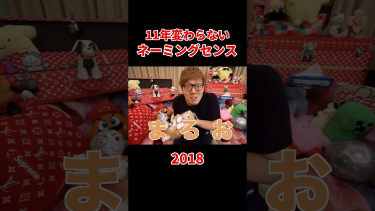 11年変わらないヒカキンのネーミングセンス…  #ヒカキン #切り抜き #shorts