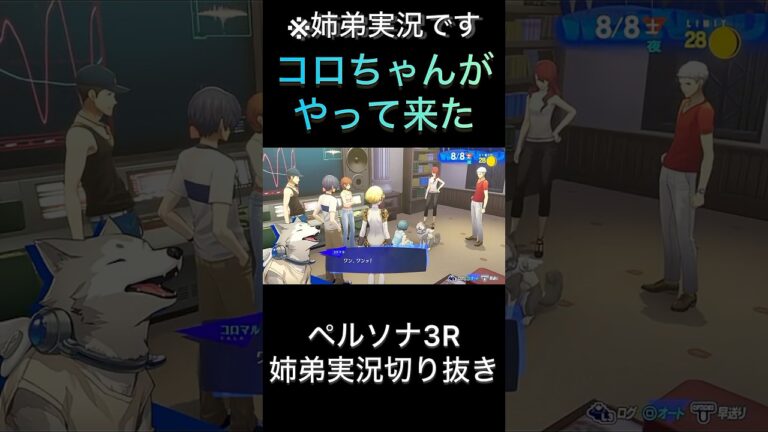 【ペルソナ3R】コロちゃんがやって来た【ゲーム実況】