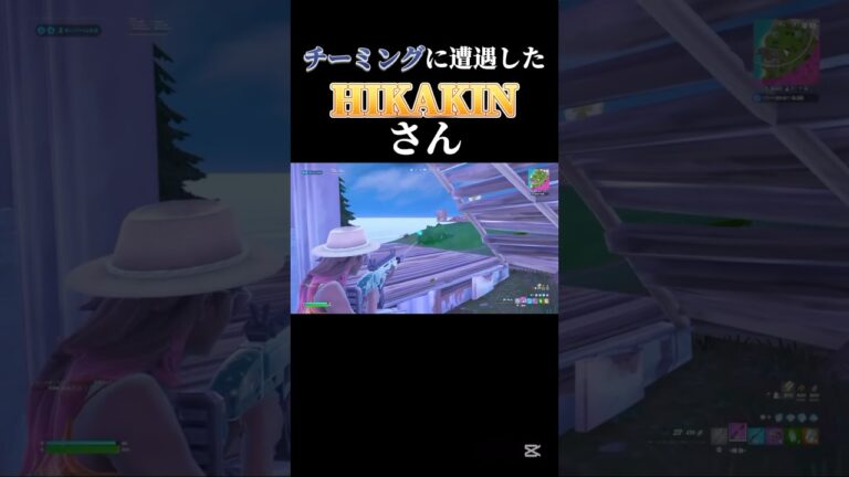 チーミングに遭遇したHIKAKINさん#fortnite #チーミング #shorts