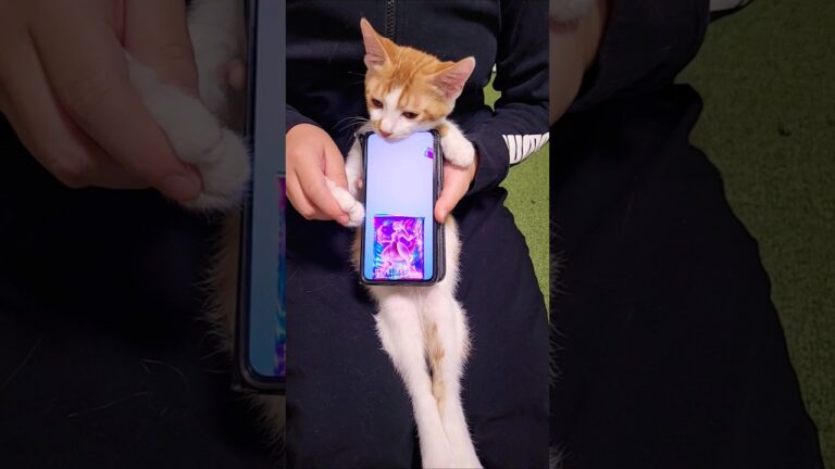 ポケポケ開封 #ポケモン