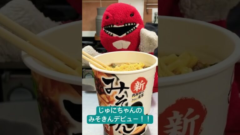 みそきんデビュー！！⭐︎ #ぬい活 #ヒカキン #みそきん