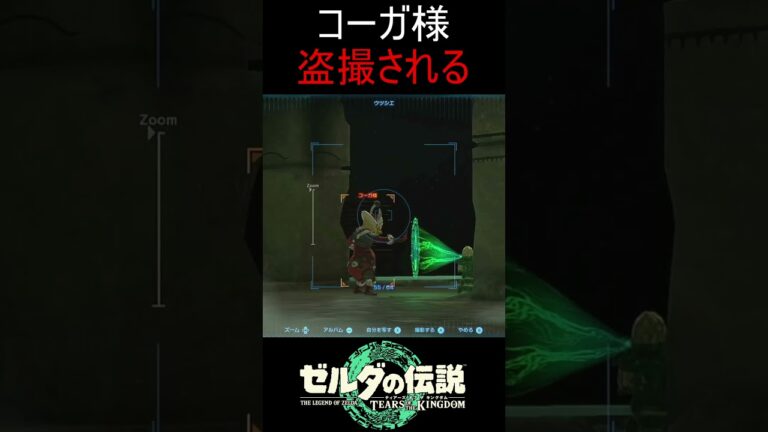 まぁコーガ様だからいいか#ゲーム実況 #ゼルダの伝説 #ゼルダの伝説ティアーズオブザキングダム