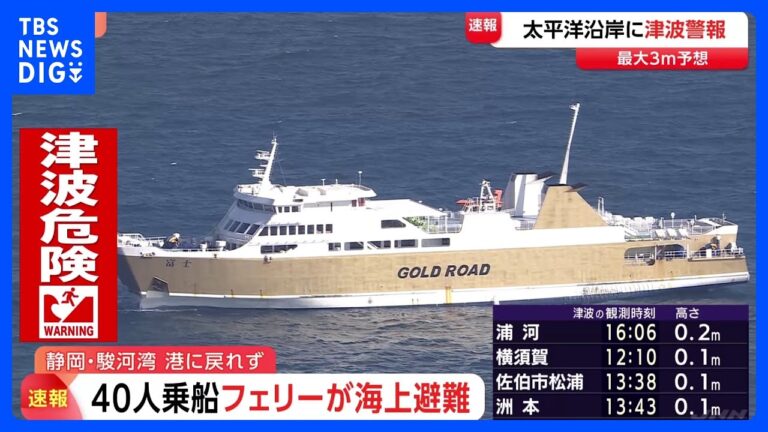 「駿河湾フェリー、津波警報で沖合待機」