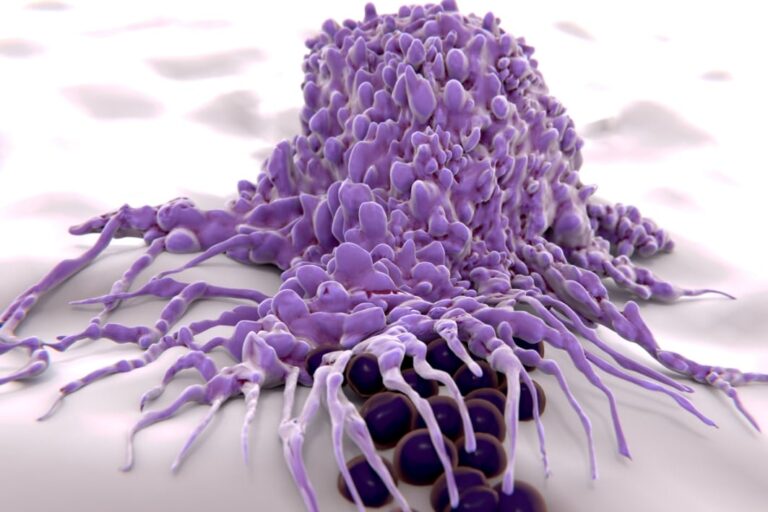 「がん細胞、仲間の死で増殖進化！」