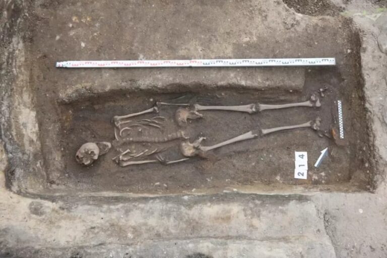 アイス屋地下で発見！中世騎士の人骨！