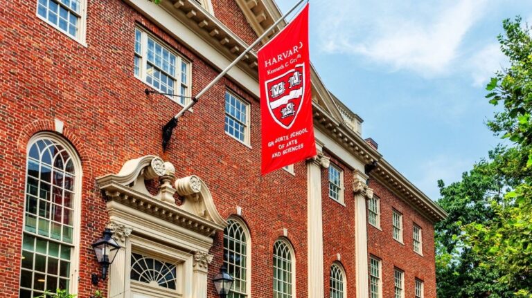 「174年の時を越え、子孫へ写真返還」