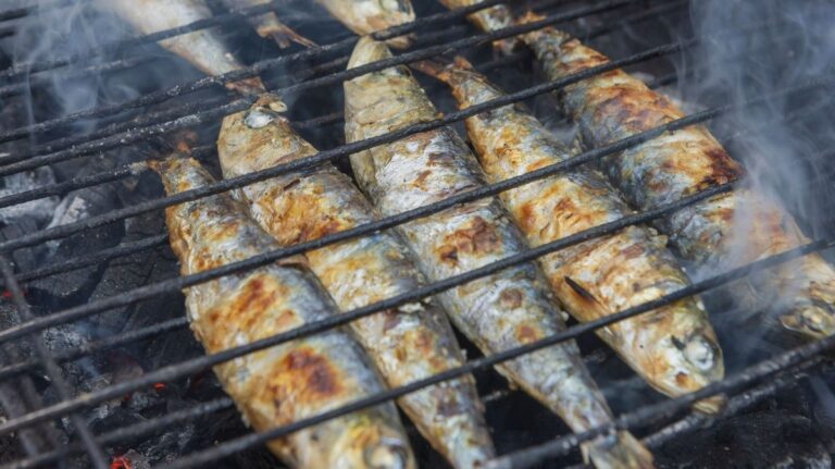 「夏のイワシが食卓の主役！新トレンド」