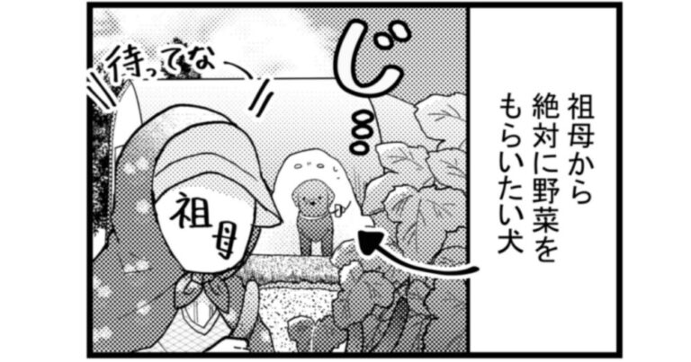 【エッセイ漫画】日々限界集落 633話目「安全」