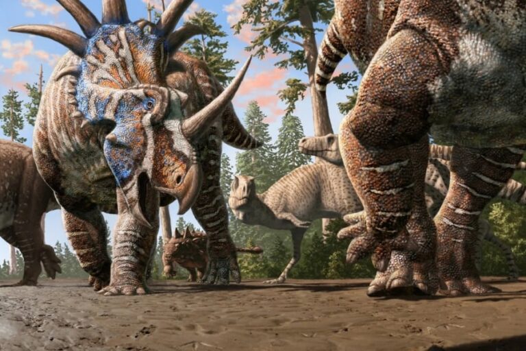 草食恐竜の「混成軍団」発見！カナダで足跡確認