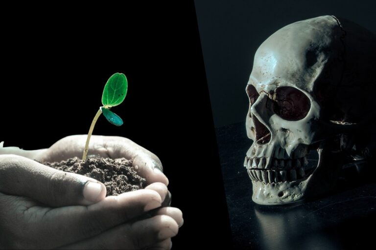 「生死を超えた“第3の状態”発見！」