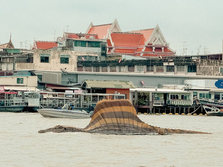 「チャオプラヤー川に恐竜現る!?」