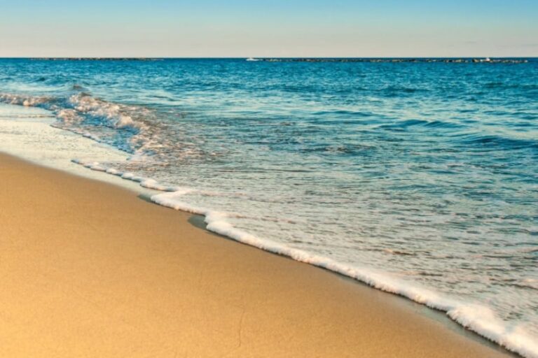 「海近居住で寿命UP？内陸水辺は逆効果も」