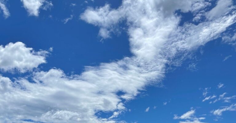 「柳緑花紅」から学ぶ人生の選択肢