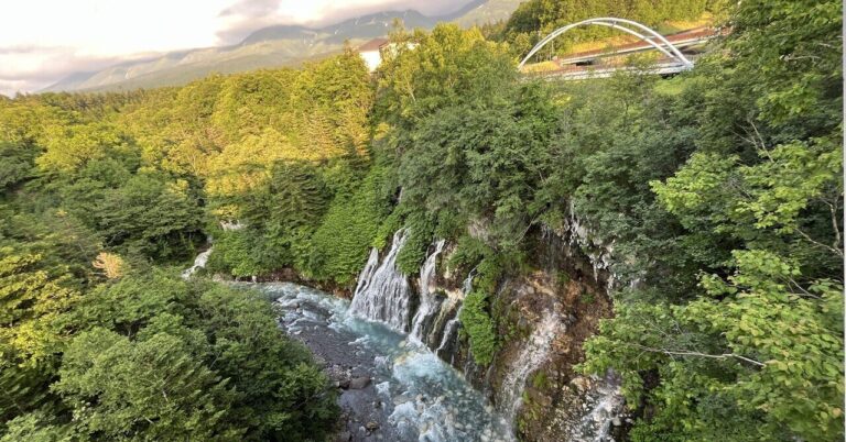 「転職で変わった私の心身」