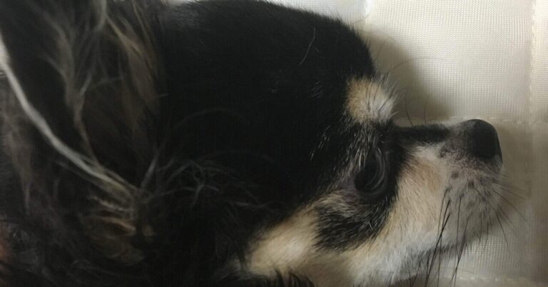 失業保険3回目認定日、心の整理法は？