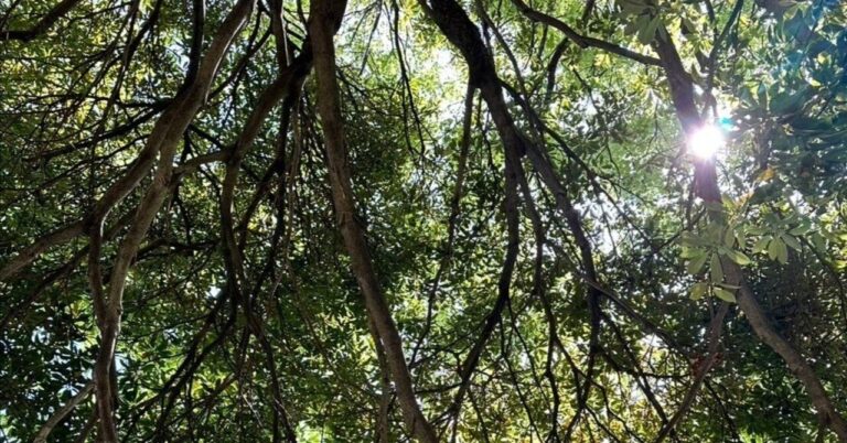 「仕事辞める理由は自由でOK！」