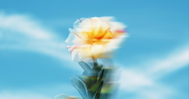 「占い師の役割」真実を見極める『審神者』とは？