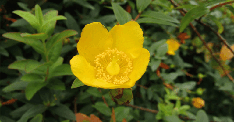 「保育士転職」実態調査！3タイプ比較で「働きやすさ」を徹底解説