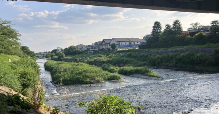 「京都ZINE旅：左京区の魅力に迫る！」