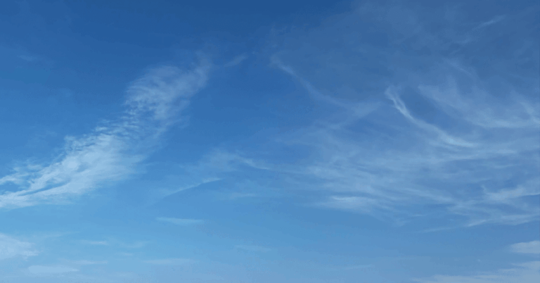 「退職で見つけた自分のミッション」