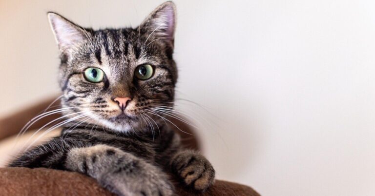 「転職保留中の私が選ぶ理由」