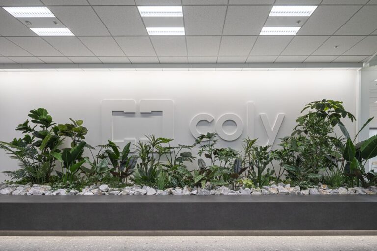 「colyが移転へ！『ブレマイ』『まほやく』の快適職場づくり」