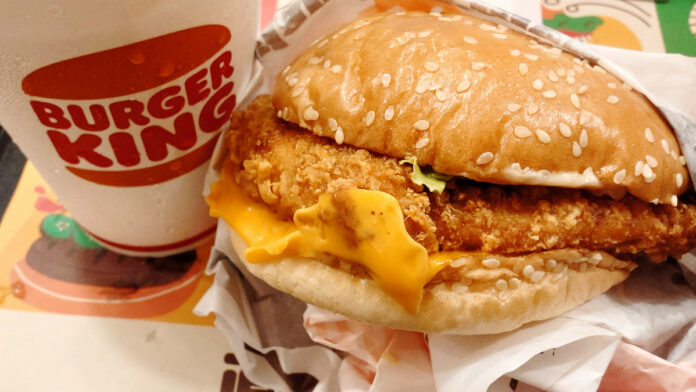 「バーガーキング新作！チキンパティが豪快すぎる」