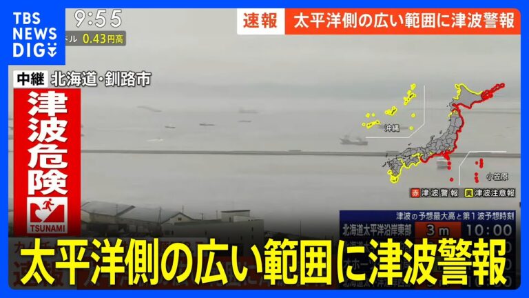 「太平洋側で津波警報発令！即避難を」