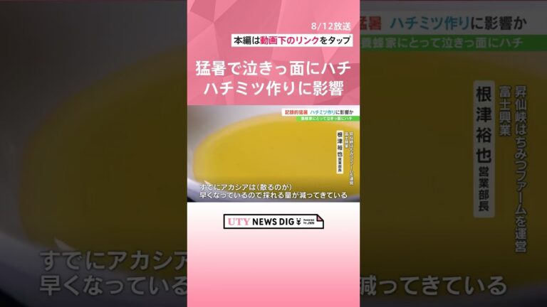 「記録的猛暑が影響！ハチミツ減少」