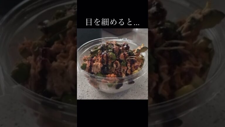 #ヒカキン#世界#世界一周