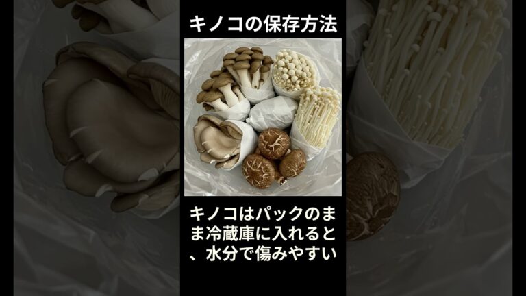 「食品ロス激減！野菜・果物保存術」