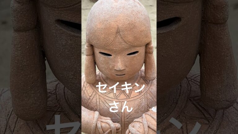 ヒカキン&セイキンさん？#lookalikes #ヒカキン #funny #まいくら #サングラス #shorts #お笑い #minecraft #セイキン #変顔