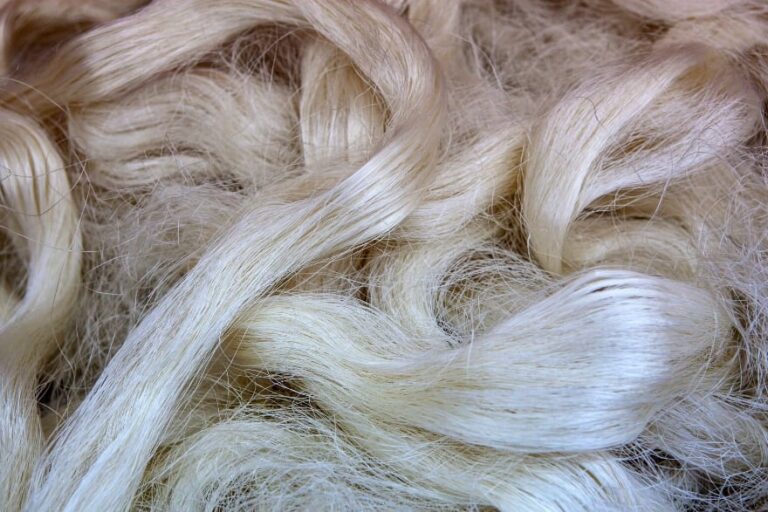 「クモ遺伝子カイコが作る驚異のシルク！」