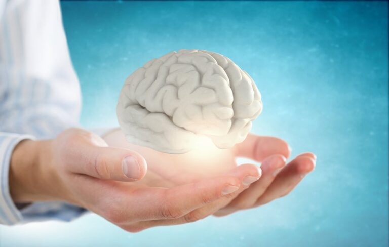 「脳縮小の謎：文字が影響？」