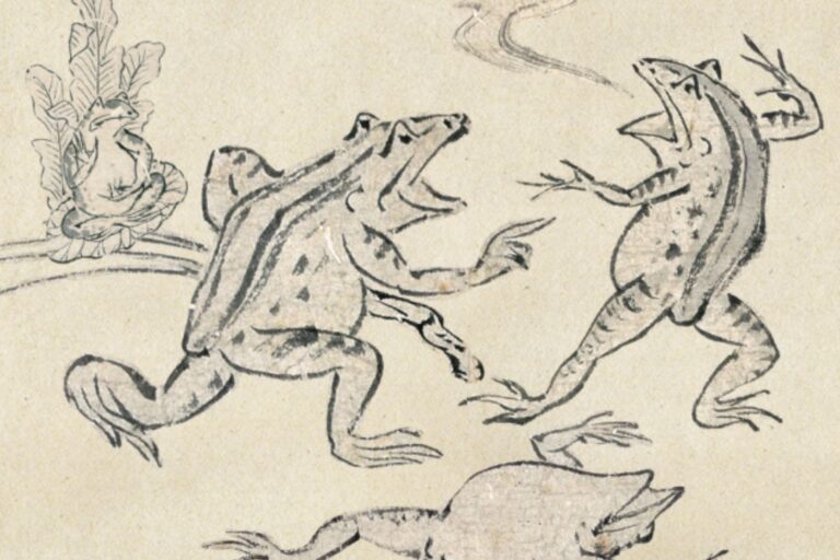 「捕食者少ないカエル、驚異の逃げ足！」