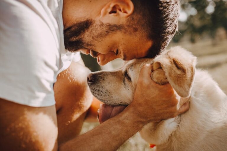 「土砂崩れ救った犬と飼い主の絆」