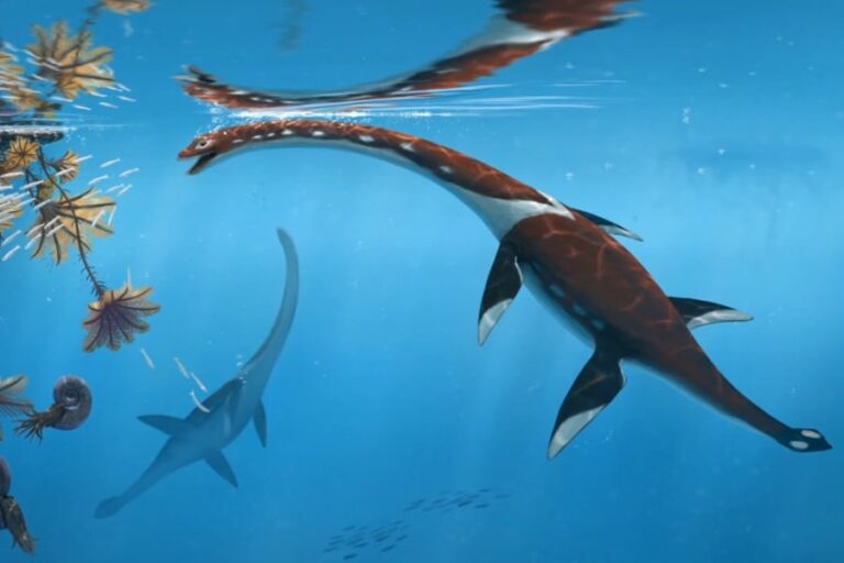 「ドイツで新種首長竜発見！ジュラ紀の魅力」