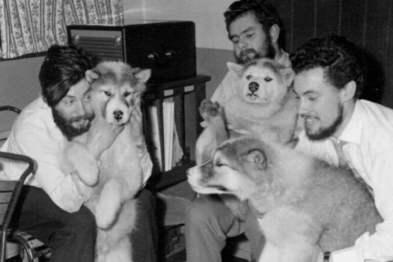 南極行方不明科学者、66年後に発見！