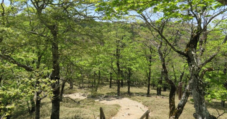 新卒4ヶ月、悩む私の転職事情