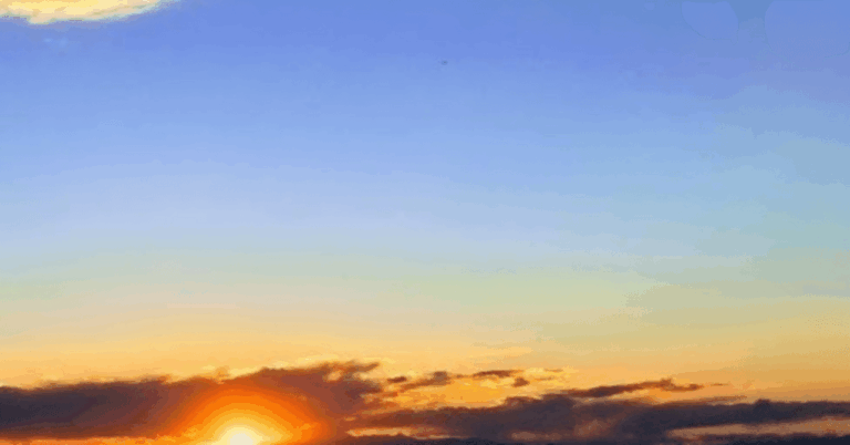 「転職のリアル：辞める勇気と成長」