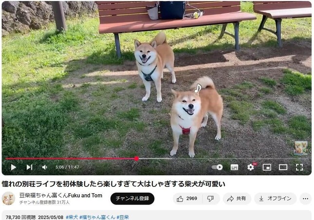 1757309595_495_人気YouTuber.jpg