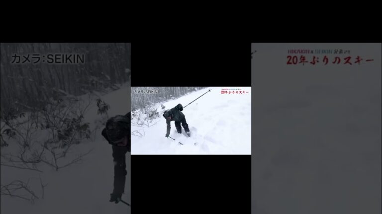 セイキンの次はヒカキンだったw#ヒカキンスキー