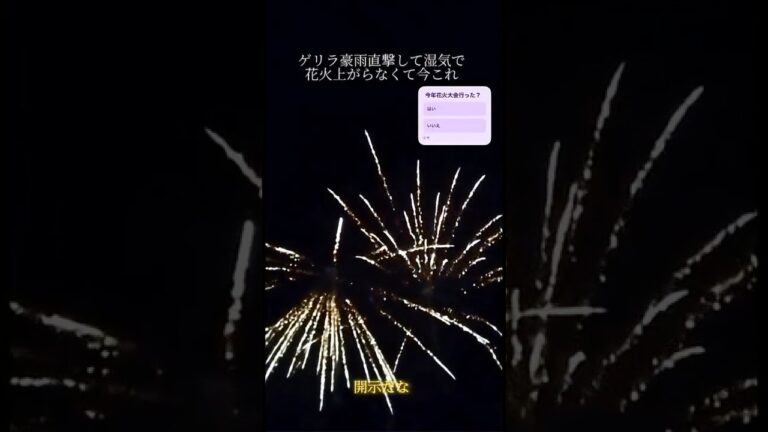 最後の方みんな歌ってて草 #花火 #shorts #ヒカキン