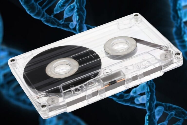 「DNAカセットテープで音楽未来保存！」