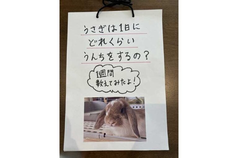 夏休みの自由研究、教師の“黙殺”対応に保護者怒り　「評価できないなら必須にしないで」ネットも共感 |