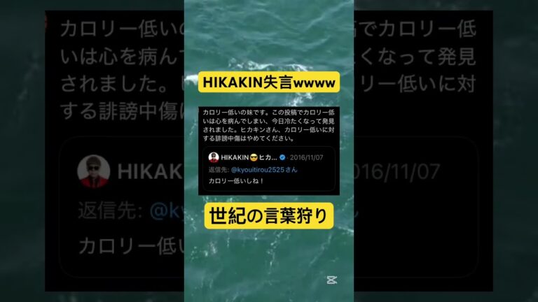 HIKAKINが誹謗中傷()