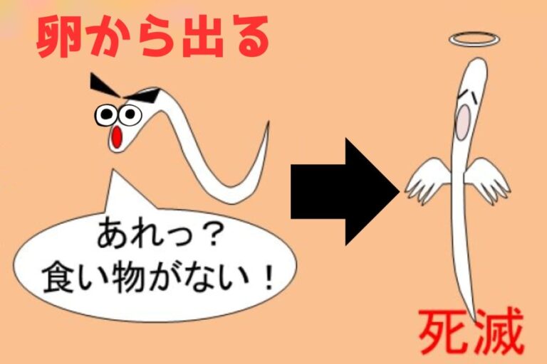 「新化合物で害虫を撃退！餓死作戦」