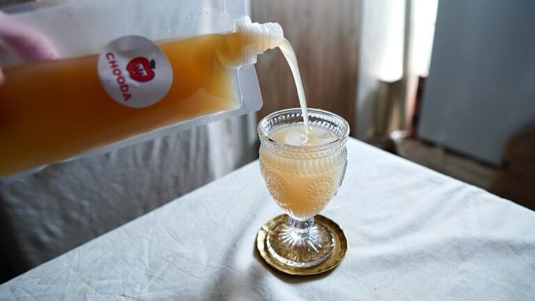 腸活新時代！日本初プレバイオティックソーダ「CHOODA」の魅力