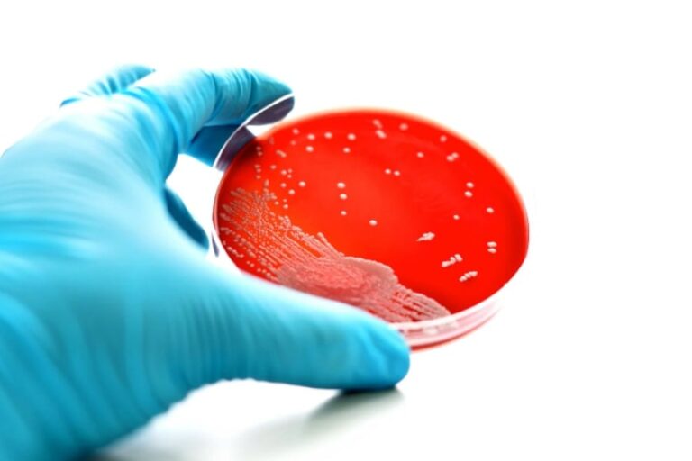 「3歳児、実験皿から淋菌摂取!?」 「3歳児、実験皿から淋菌摂取!?」