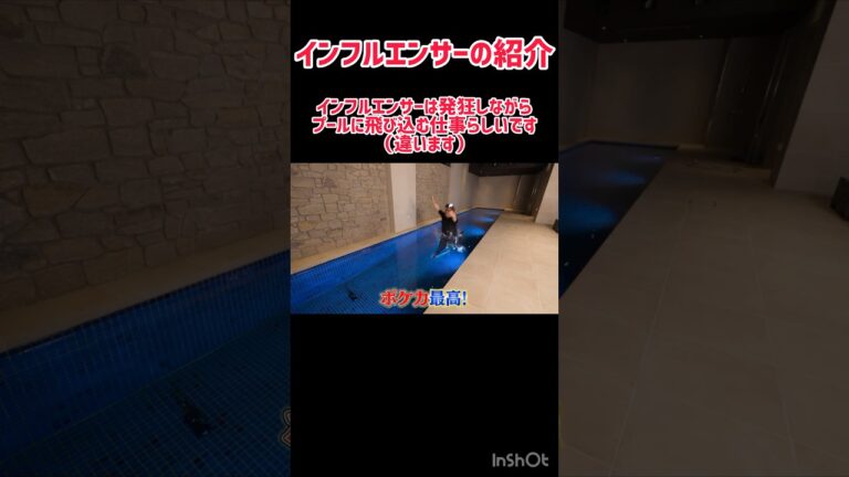 インフルエンサーの紹介！【HIKAKIN】【インフルエンサー】